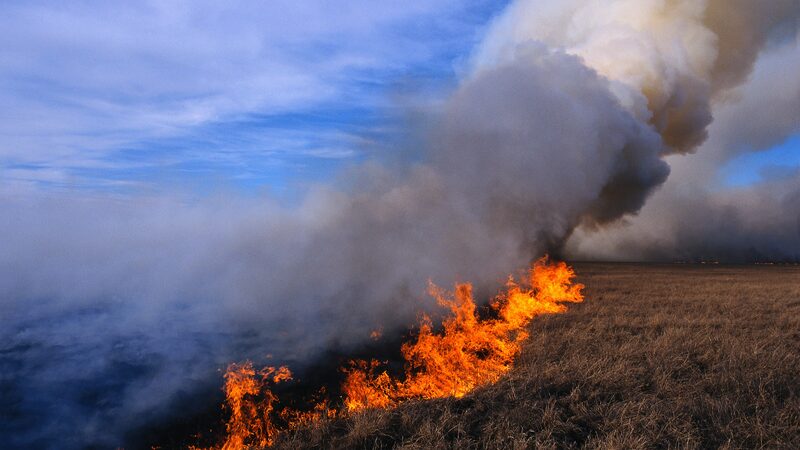 Incendios_arrasan_Mongolia__destruyendo_ma_s_de_685_000_hecta_reas_de_tierra
