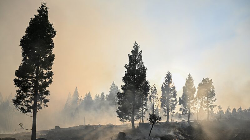 Incendios_arrasan_el_oeste_de_EE__UU__mientras_se_acercan_condiciones_clima_ticas_adversas