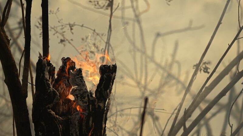 Incendios_en_el_Amazonas_de_Brasil_alcanzan_niveles_re_cord_por_tercer_mes_consecutivo__