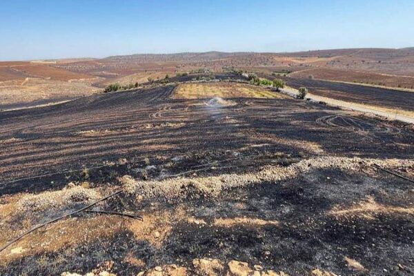 🔥 Incendios en el sureste de Türkiye aumentan el número de víctimas a 11 __Incendios_en_el_sureste_de_Tu_rkiye_aumentan_el_nu_mero_de_vi_ctimas_a_11
