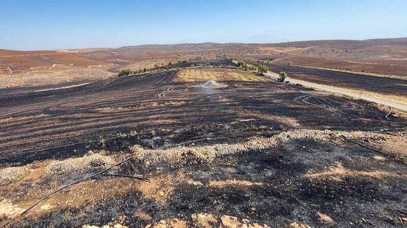 __Incendios_en_el_sureste_de_Tu_rkiye_aumentan_el_nu_mero_de_vi_ctimas_a_11