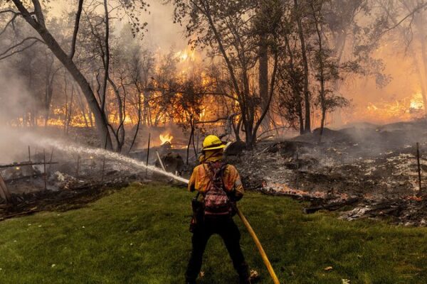 🔥 Incendios forestales arrasan el oeste de EE.UU.: California combate el enorme incendio Park __Incendios_forestales_arrasan_el_oeste_de_EE_UU___California_combate_el_enorme_incendio_Park
