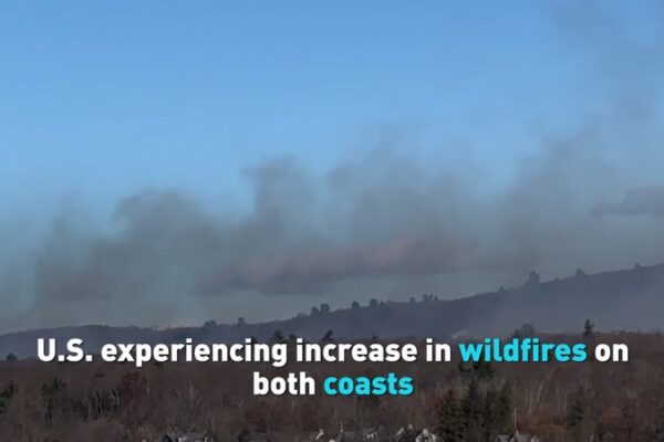 Incendios forestales arrasan en ambas costas de EE.UU. en medio de condiciones secas 🌲🔥 Incendios_forestales_arrasan_en_ambas_costas_de_EE_UU__en_medio_de_condiciones_secas___ video poster