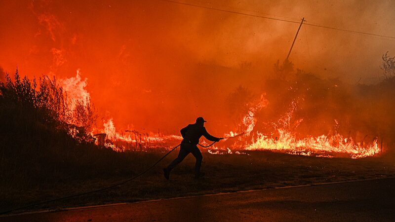 Incendios_forestales_en_Portugal__Siete_muertos_mientras_las_llamas_atrapan_a_bomberos