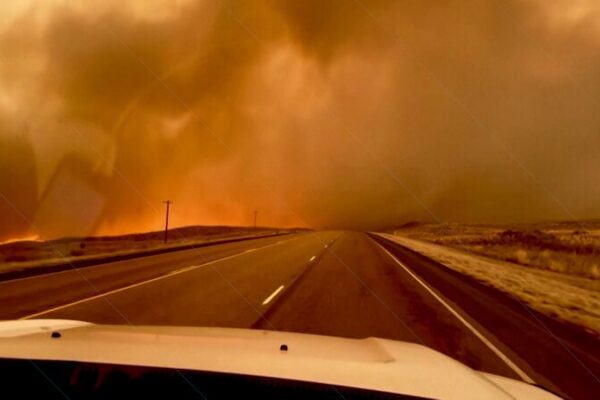 Incendios forestales en Texas arrasan tierras y hogares, cruzan fronteras estatales Incendios_forestales_en_Texas_arrasan_tierras_y_hogares__cruzan_fronteras_estatales video poster