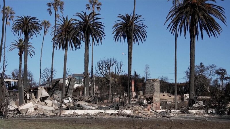 Indignacio_n_en_Los_A_ngeles__bomberos_privados_protegen_zonas_adineradas_mientras_otras_arden video poster