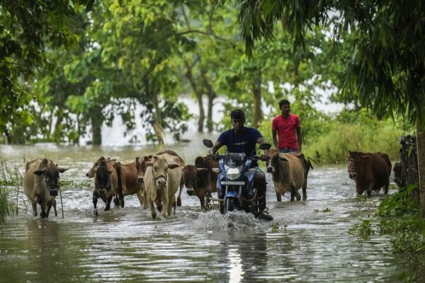 Inundaciones masivas en Assam, India afectan a más de 1.1 millones de personas 🏞️ Inundaciones_masivas_en_Assam__India_afectan_a_ma_s_de_1_1_millones_de_personas___