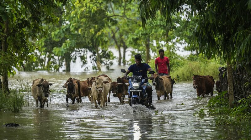 Inundaciones_masivas_en_Assam__India_afectan_a_ma_s_de_1_1_millones_de_personas___