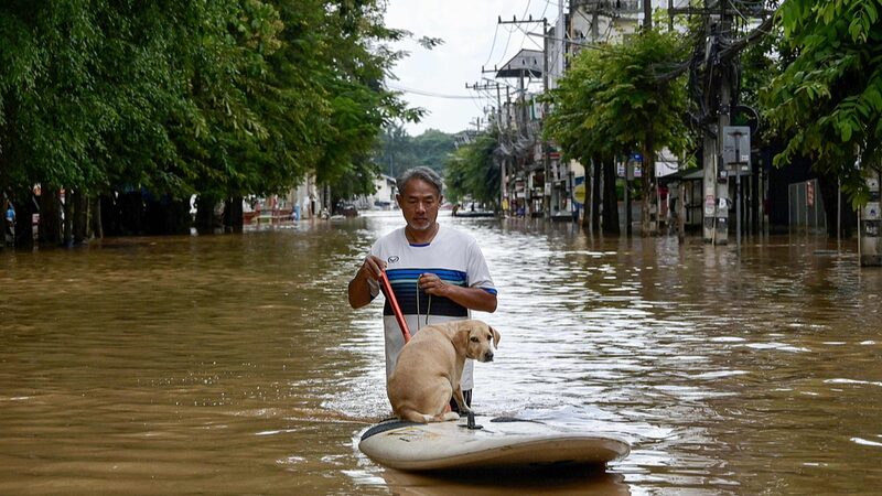 Inundaciones_repentinas_en_Chiang_Mai__turistas_evacuados__tres_vidas_y_dos_elefantes_perdidos__