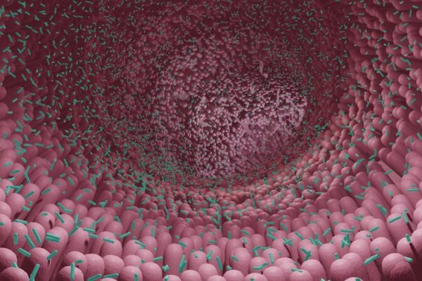 Investigadores Chinos Descubren que el Microbioma Intestinal Podría Ser la Clave del Envejecimiento Investigadores_Chinos_Descubren_que_el_Microbioma_Intestinal_Podri_a_Ser_la_Clave_del_Envejecimiento