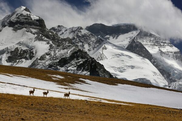 Investigadores_chinos_revelan_secretos_del_permafrost_en_la_meseta_de_Qinghai_Xizang