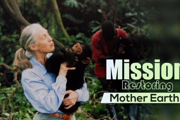 Jane Goodall a los 90: Difundiendo un Mensaje de Esperanza a Través de la Acción Jane_Goodall_a_los_90__Difundiendo_un_Mensaje_de_Esperanza_a_Trave_s_de_la_Accio_n video poster