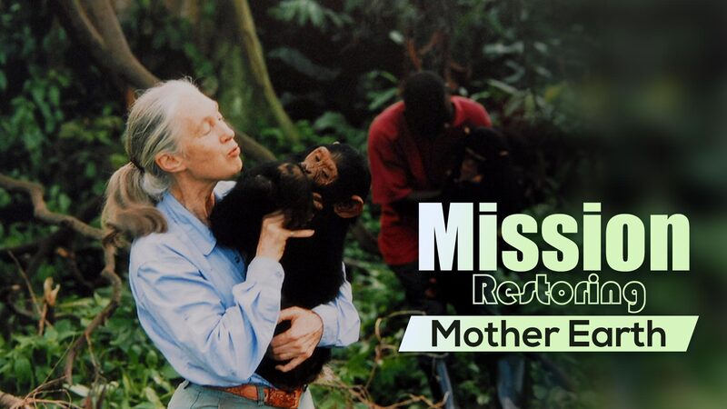 Jane_Goodall_a_los_90__Difundiendo_un_Mensaje_de_Esperanza_a_Trave_s_de_la_Accio_n video poster
