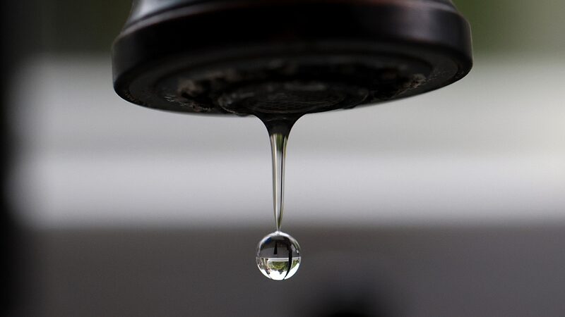 Japo_n_investiga__qui_micos_eternos__tras_alarmantes_niveles_altos_de_PFAS__