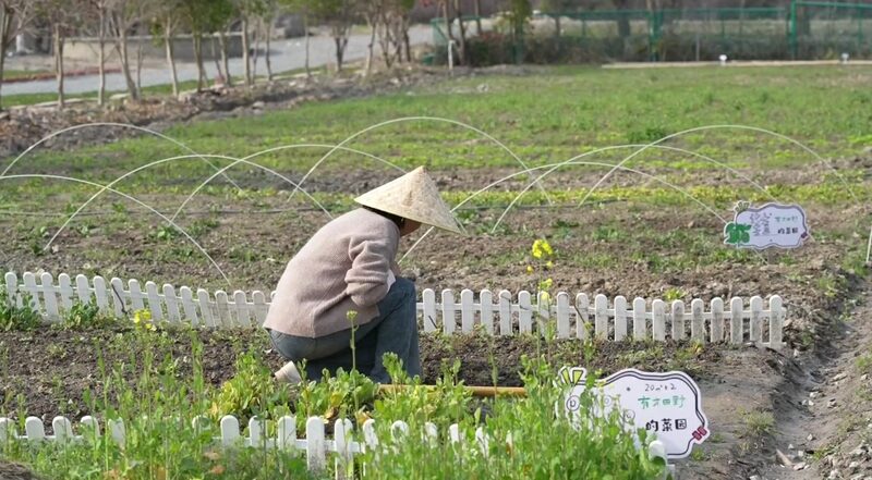 Jardines_Compartidos_Florecen_en_China__Una_Tendencia_que_Cautiva_las_Redes_Sociales__ video poster