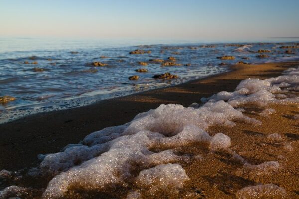 Jo_venes_cienti_ficos_se_unen_para_salvar_el_Mar_de_Aral___