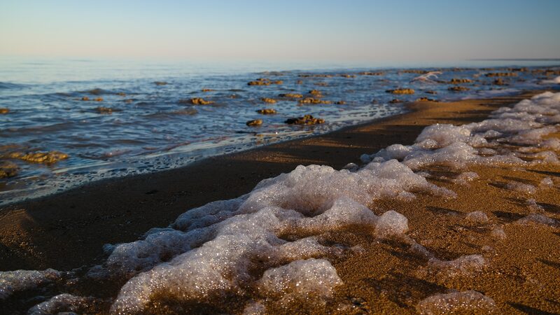 Jo_venes_cienti_ficos_se_unen_para_salvar_el_Mar_de_Aral___