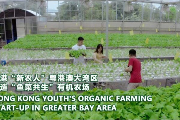 Jóvenes de Hong Kong triunfan con agricultura orgánica en el Gran Área de la Bahía Jo_venes_de_Hong_Kong_triunfan_con_agricultura_orga_nica_en_el_Gran_A_rea_de_la_Bahi_a video poster