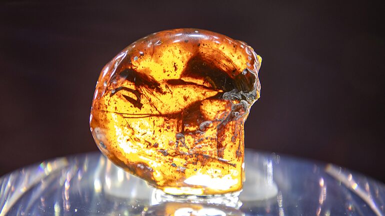 Joyas_de_Alta_Gama_Brillan_en_la_CIIE_2024_de_Shangha_i