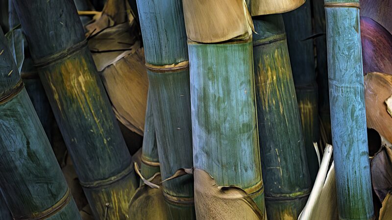Kenia_se_une_a_China_para_plantar_bambu__y_combatir_inundaciones___