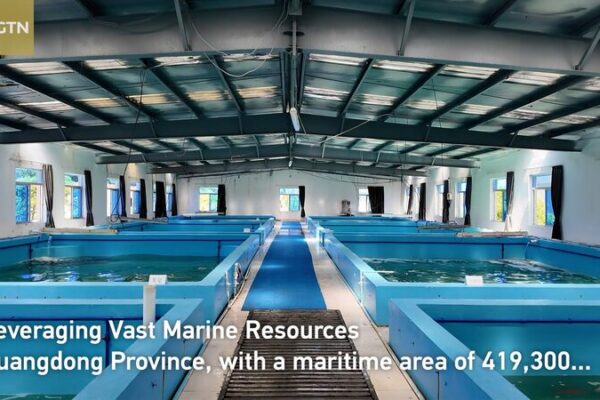 La Acuicultura en Alta Mar de Guangdong Está Causando Sensación en la Agricultura Moderna de China 🌊🐟 La_Acuicultura_en_Alta_Mar_de_Guangdong_Esta__Causando_Sensacio_n_en_la_Agricultura_Moderna_de_China___ video poster