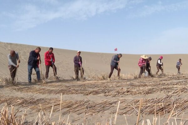 La Batalla Verde de China: Cómo el Desierto de Taklimakán está siendo Transformado 🌵🌱 La_Batalla_Verde_de_China__Co_mo_el_Desierto_de_Taklimaka_n_esta__siendo_Transformado___ video poster