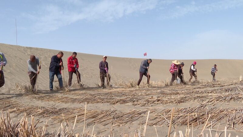 La_Batalla_Verde_de_China__Co_mo_el_Desierto_de_Taklimaka_n_esta__siendo_Transformado___ video poster