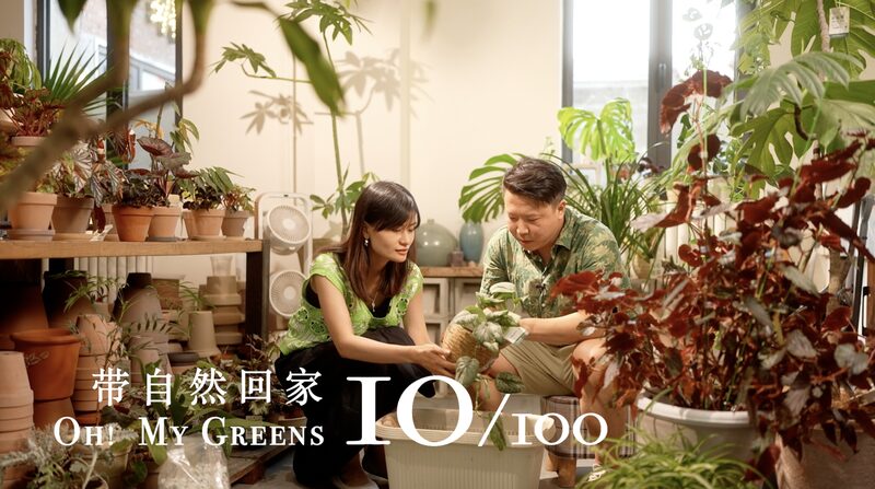 La_Batalla_de_Verano_de_Liang_Si__Rescatando_una_Planta_Moribunda_con_el_Maestro_Jardinero_Cheng__ video poster