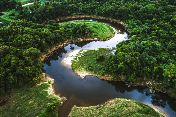 La_Bioeconomi_a_del_Amazonas__La_Revolucio_n_Verde_que_Todos_Necesitamos__