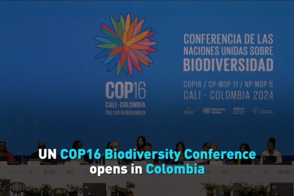 La_Conferencia_de_Biodiversidad_COP16_de_la_ONU_comienza_en_Colombia_con_un_llamado_a_la_accio_n___ video poster