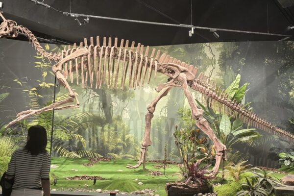 La_Exposicio_n_de_Dinosaurios_en_Peki_n_da_Vida_a_la_Prehistoria