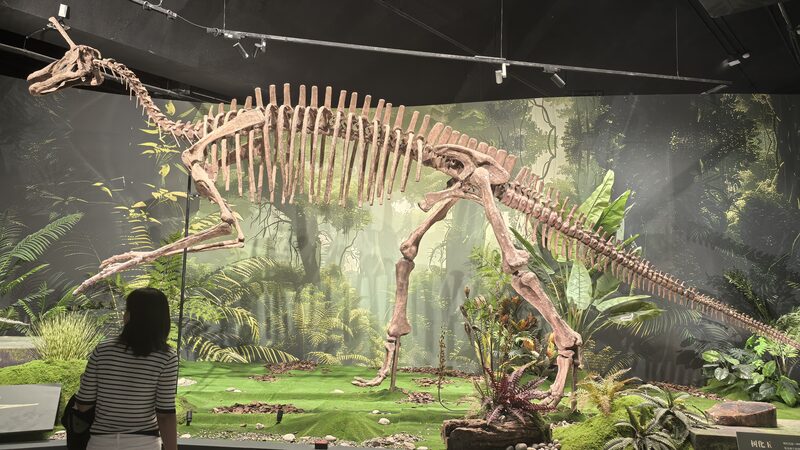 La_Exposicio_n_de_Dinosaurios_en_Peki_n_da_Vida_a_la_Prehistoria