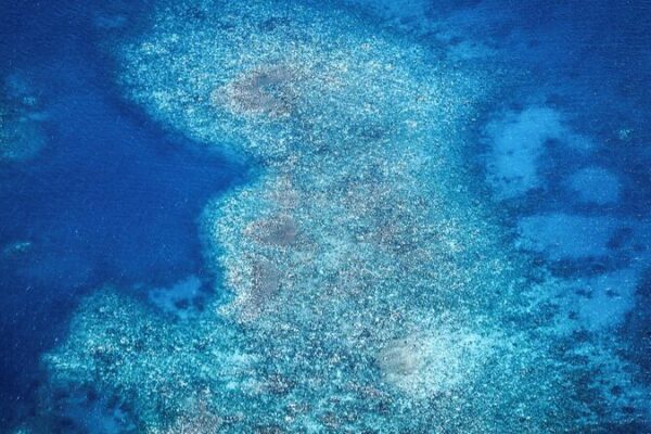 La_Gran_Barrera_de_Coral_de_Australia_enfrenta_un_blanqueamiento_sin_precedentes__