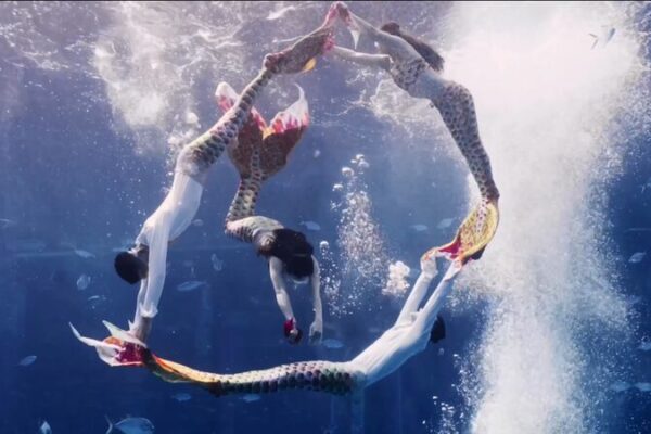 _La_Gran_Final_del_China_Mermaid_Open_comienza_con_un_deslumbrante_especta_culo_de_buceo_ video poster