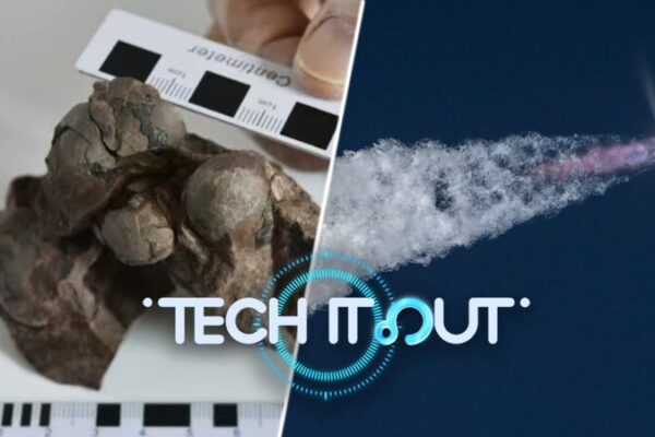 ¡La IA descubre nuevos planetas, encuentran un huevo diminuto de dinosaurio y ladrillos lunares para bases en la Luna! _La_IA_descubre_nuevos_planetas__encuentran_un_huevo_diminuto_de_dinosaurio_y_ladrillos_lunares_para_bases_en_la_Luna_ video poster