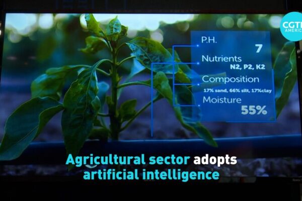 __La_IA_se_Encuentra_con_la_Agricultura__Co_mo_la_Tecnologi_a_Esta__Cultivando_Nuestro_Alimento_de_Forma_Ma_s_Inteligente video poster