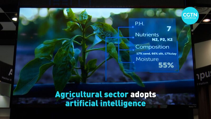 __La_IA_se_Encuentra_con_la_Agricultura__Co_mo_la_Tecnologi_a_Esta__Cultivando_Nuestro_Alimento_de_Forma_Ma_s_Inteligente video poster