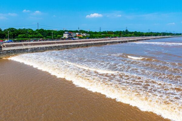 🌊 La Increíble Ola del Río Qiantang que Sorprende al Mundo __La_Increi_ble_Ola_del_Ri_o_Qiantang_que_Sorprende_al_Mundo