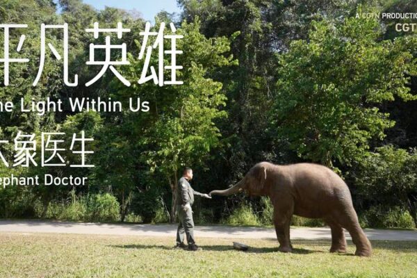 La_Luz_Dentro_de_Nosotros__El_Viaje_de_Bao_Weiming_como_Me_dico_de_Elefantes video poster