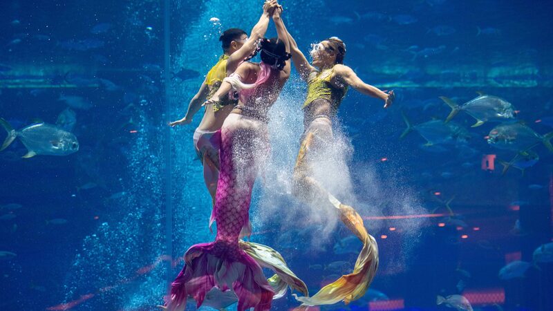 La_Ma_gica_Competencia_de_Baile_de_Sirenas_de_Sanya_Trae_la_Fantasi_a_a_la_Vida______ video poster