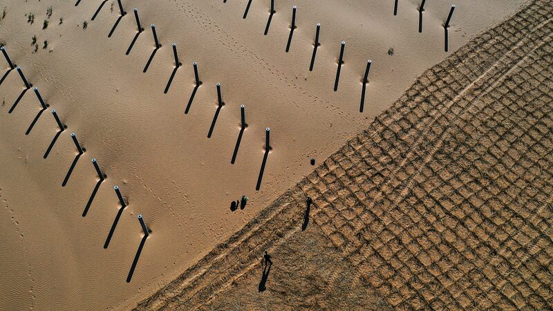 La_Mongolia_Interior_de_China_combate_la_desertificacio_n_con_una_plantacio_n_masiva_de_a_rboles__