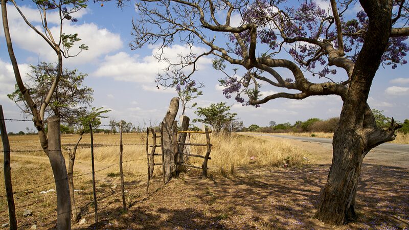 La_ONU_da_la_voz_de_alarma_por_la_grave_sequi_a_en_el_sur_de_A_frica___