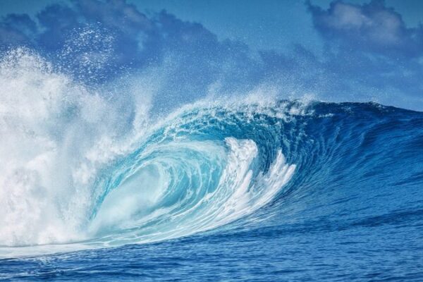 La ONU pide acción urgente para proteger nuestros océanos 🌊 La_ONU_pide_accio_n_urgente_para_proteger_nuestros_oce_anos__