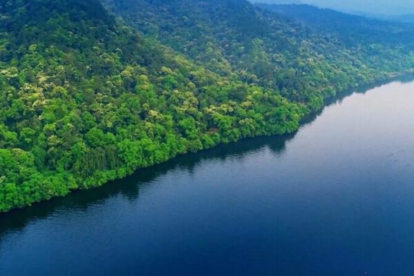 La Revolución Verde de China: Los Bosques Florecen 🌳 La_Revolucio_n_Verde_de_China__Los_Bosques_Florecen__ video poster