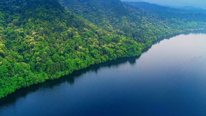 La_Revolucio_n_Verde_de_China__Los_Bosques_Florecen__ video poster