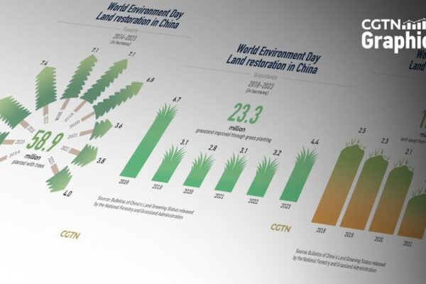 La Revolución Verde de China: Una Década de Renovación 🌳🌍 La_Revolucio_n_Verde_de_China__Una_De_cada_de_Renovacio_n___