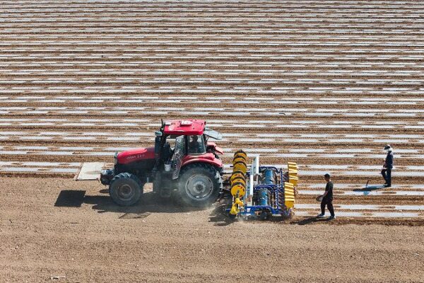 La Revolución del Algodón en Xinjiang: Tecnología Transformando los Textiles 🚀 La_Revolucio_n_del_Algodo_n_en_Xinjiang__Tecnologi_a_Transformando_los_Textiles__