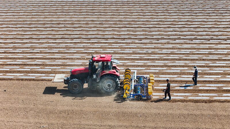 La_Revolucio_n_del_Algodo_n_en_Xinjiang__Tecnologi_a_Transformando_los_Textiles__