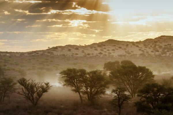 ___La_SADC_llama_a_una_accio_n_ambiental_urgente__un_futuro_verde_nos_espera_