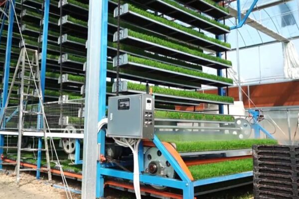 La_Siembra_del_Futuro__Tecnologi_a_Inteligente_en_la_Agricultura_China___ video poster